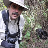  Curtis with the First Gorilla